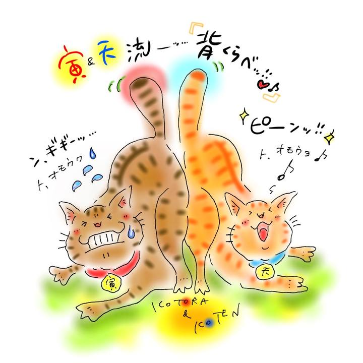 Fec511e8 9a4d 4b37 bb5e 26021568a579 1592514460683