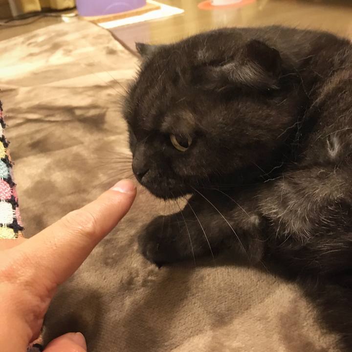 Fec54ae4 eeb7 4438 bb68 7e7e4a3980cf 1579536482322