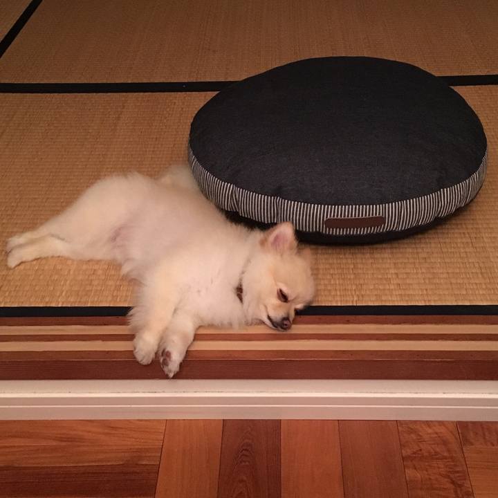 Fec55da2 4a55 4ba4 8b64 bd3499332fa5 1527810344257