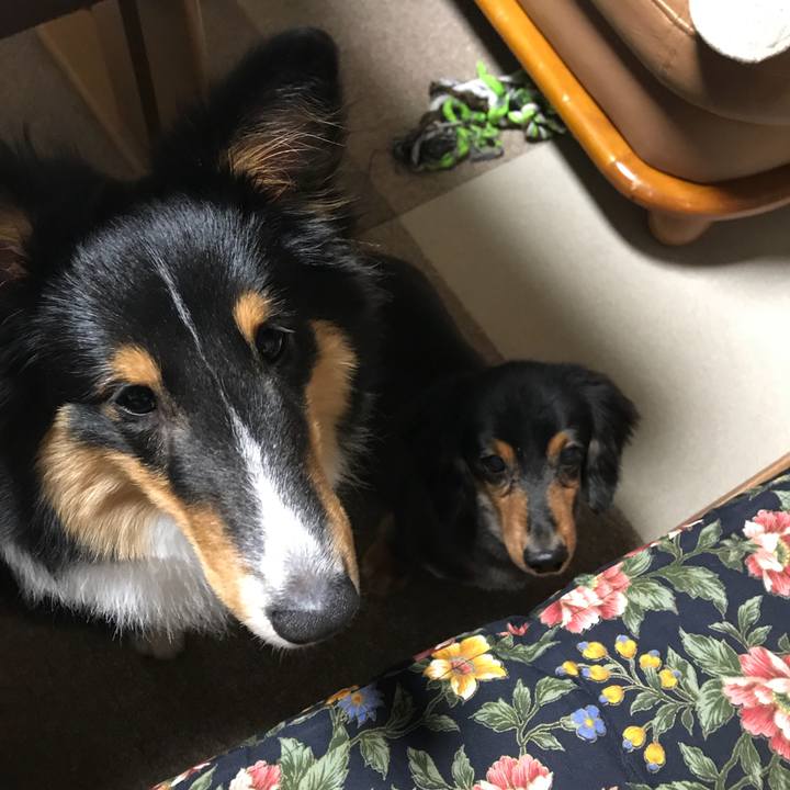 Fec5e9fc 908a 4d74 a546 5e574c3e797c 1524693701827