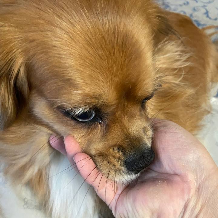 Fec61062 d2a3 4340 b2ee a3cafe50f809 1666217495612