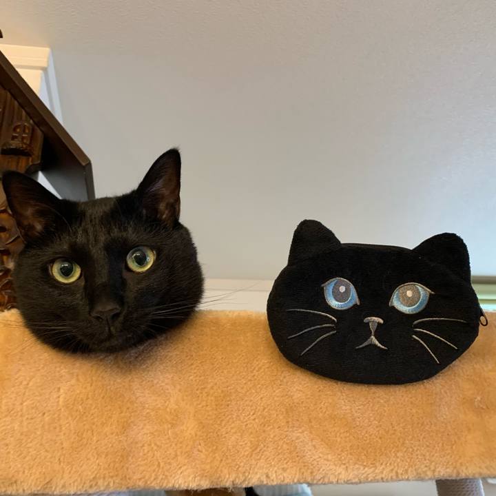 Fec61de4 02a2 420b 965f 98fefe07debb 1593569412586