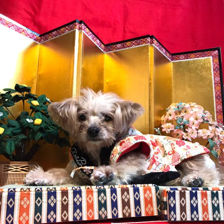 Fec62fd4 e23f 4ffa 928a 37aff3602afa 1551889440855