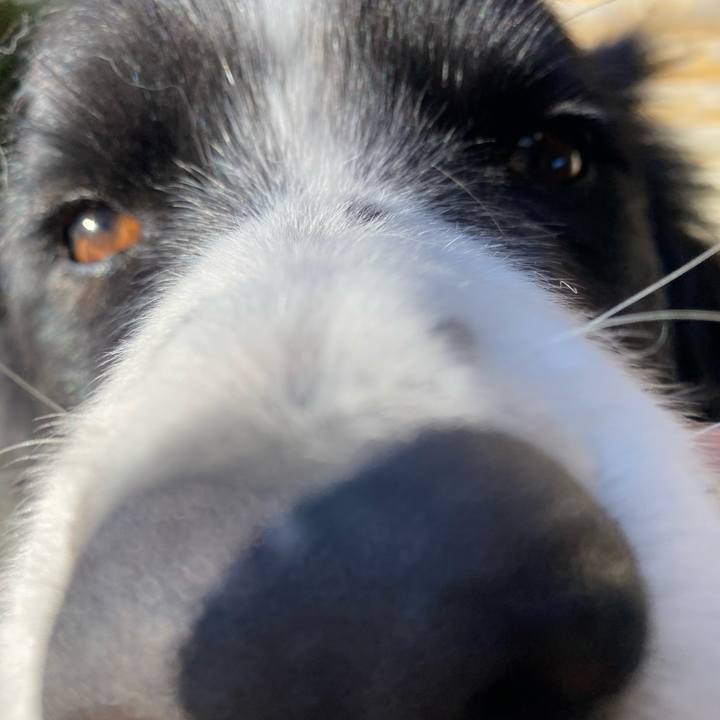 Fec64699 87d1 4bf6 8dbb c639dc90128f 1638144469699