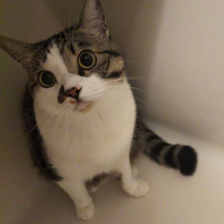 Fec6501d 21ff 4744 80fb 25626acce5cb 1653864286164