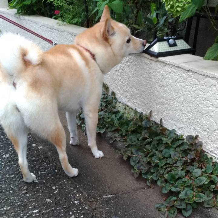 Fec6675c 099d 45eb afd4 548353439b0b 1601505860092