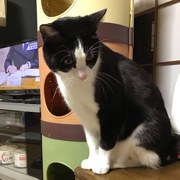 Fec67252 7cec 4b1a 8321 f1abd6e75bdf 1710332402464