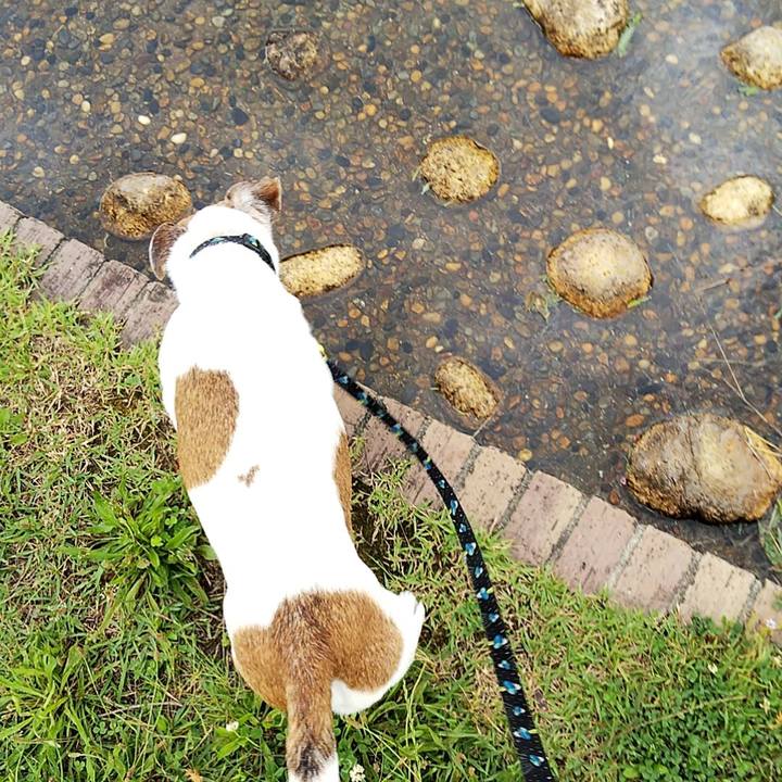 Fec6a3ff 3b30 4db0 9e93 1ba685bf6470 1560662289858