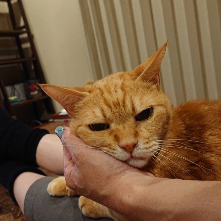 Fec6b4fc 5a98 4a38 8c8f 39bebd1c5bb0 1670512536597