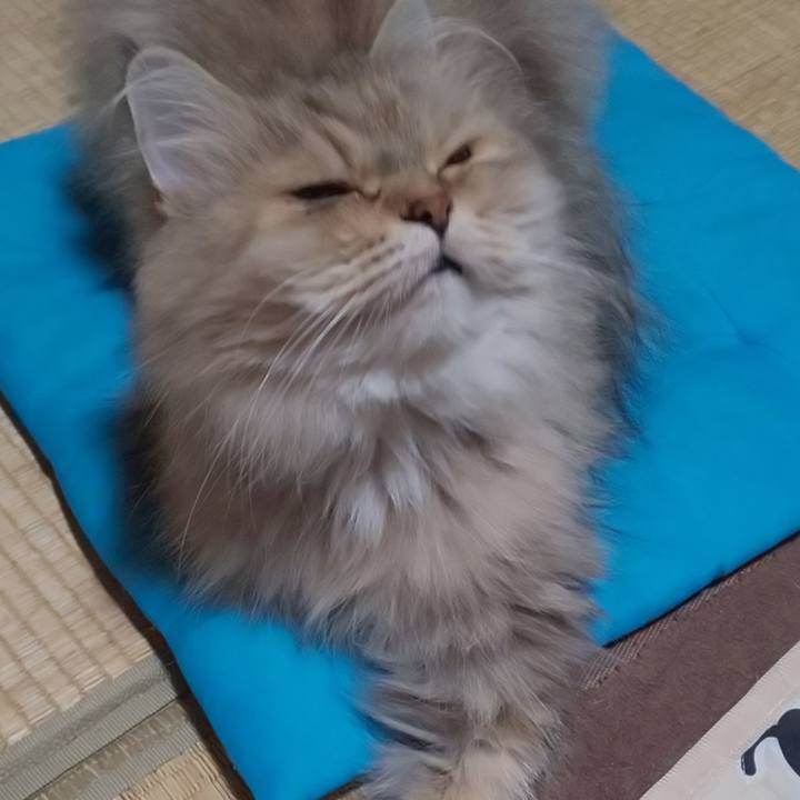 Fec6d968 abb0 4086 b163 90750ada07e8 1631837687847