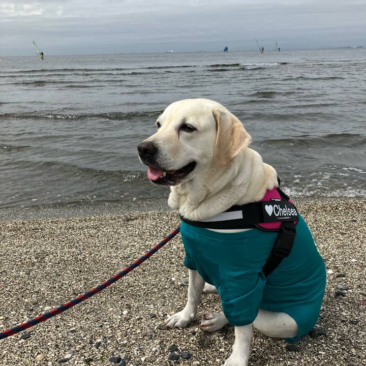 Fec6de64 4771 4ce5 b4aa 9aa31ac3e7ca 1663942685735