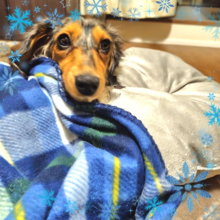 Fec7279e 5e49 4313 ae1b 4a092239d302 1735294015609