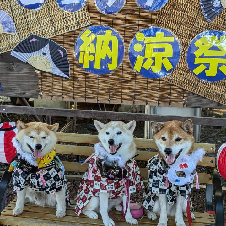 Fec74322 1ffd 4d32 9993 d05cf5f83355 1724560279071