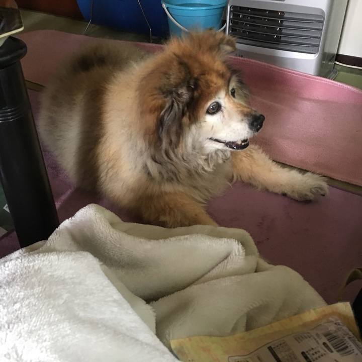 Fec760bd 98e3 4d68 9289 3d3f95bb3e7e 1557793936530