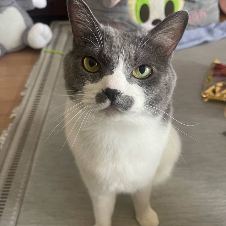 Fec7ae44 be41 46ec 8930 7b18979ce6b4 1756000030680