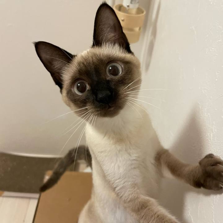 Fec7c126 e3bf 44c6 8790 e4da63afdcef 1700077525940