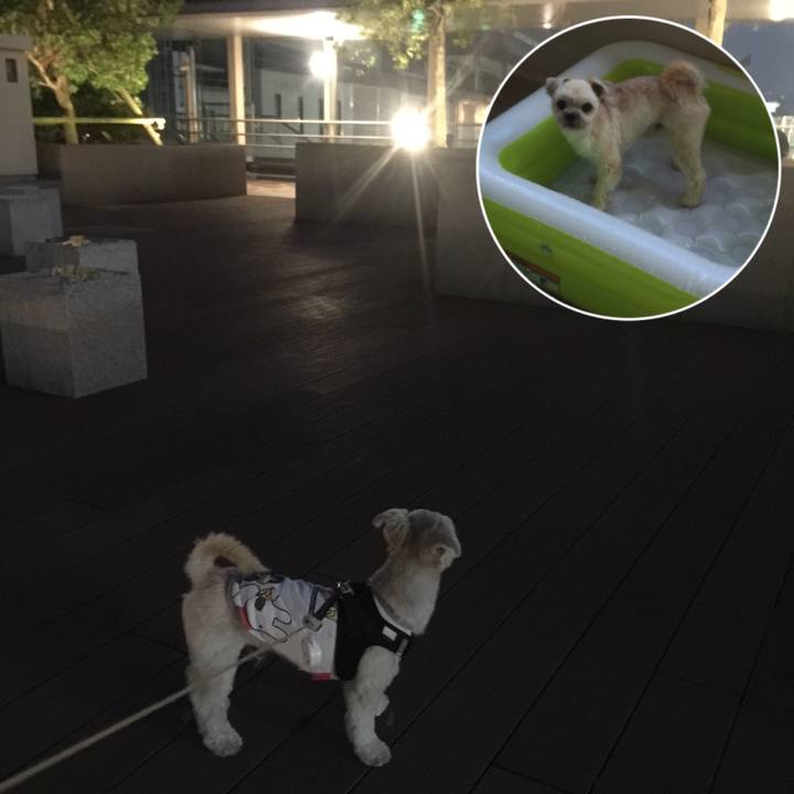 Fec7e9a6 0277 40d8 9d50 d5a2c5fa8ddd 1536145501489