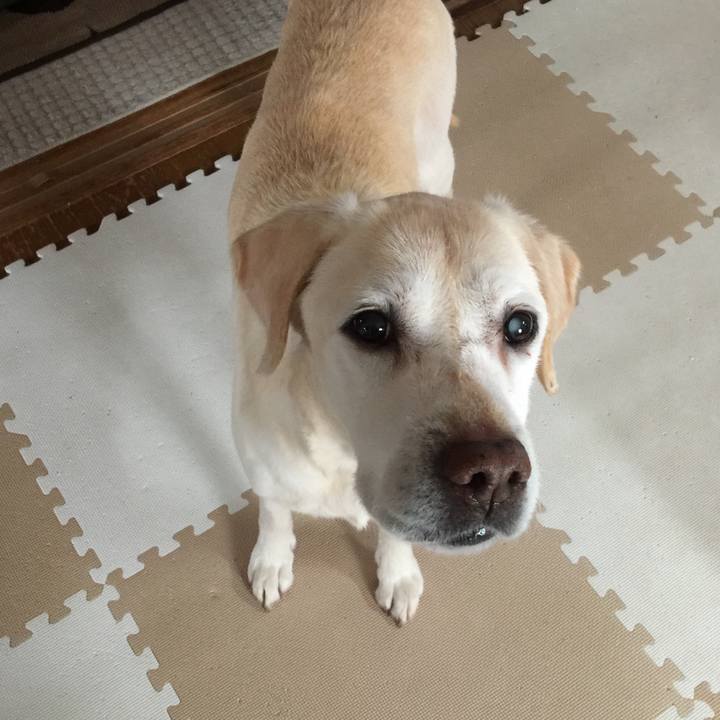 Fec7ea3c 260e 4646 b325 8a1d2323659b 1518488403326