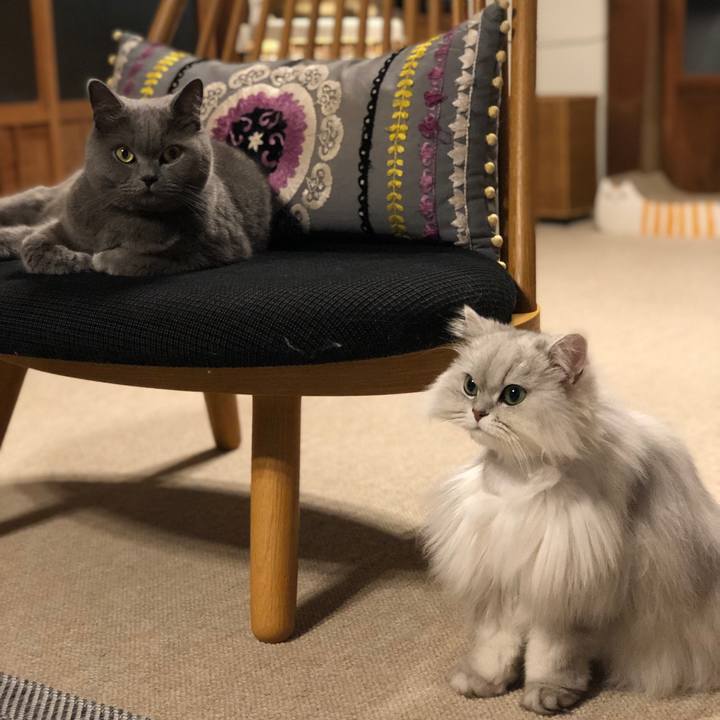 Fec7eba7 a431 4e8e b17b 9651200c8b6b 1553865525147