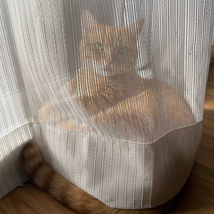 Fec82755 985a 4667 8e2d 622c6784b2ee 1767064957317