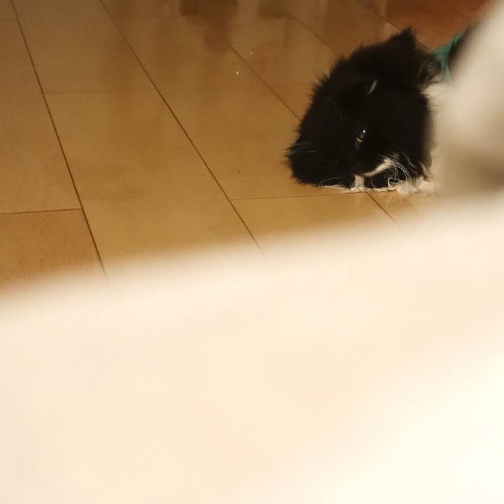 Fec84880 4967 409f 97b7 c765d7b73c28 1554562594742