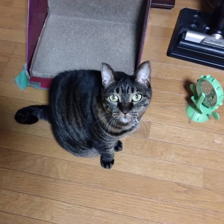 Fec8645b ffa4 453f 98ae 05812033ad44 1764759468920