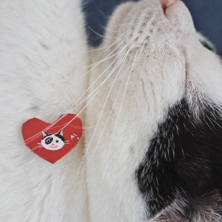 Fec890fd 20b7 4a4a 87ec d9089e7dcc9d 1527135093829