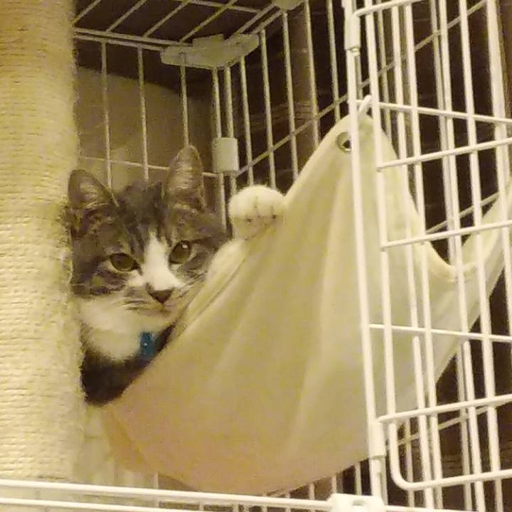 Fec8993d d9a9 45da 9c14 5520ae4a1e98 1577194083798