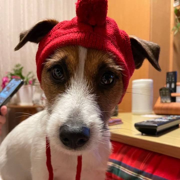 Fec8b095 162e 4df3 914b 37c38d8186d5 1640046585689