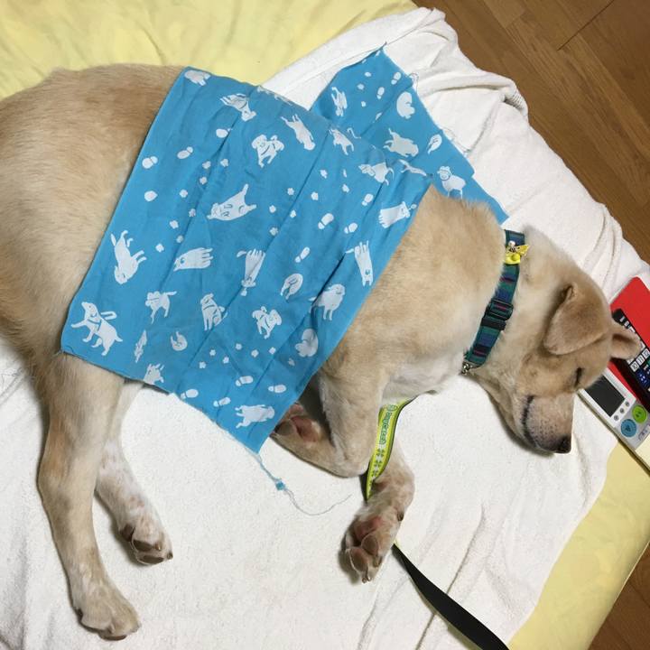 Fec8ca55 bc89 4e4b 92b4 ed55d69d7f70 1530017446105