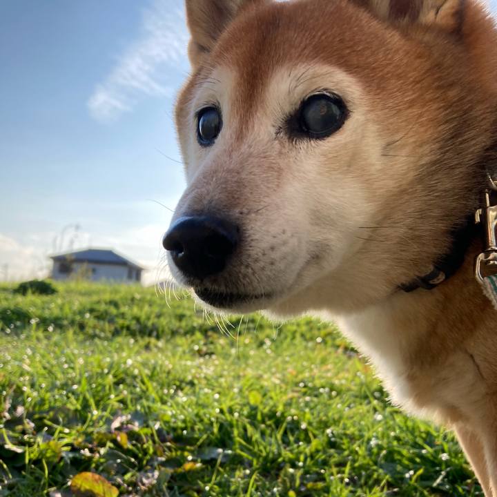 Fec8d8e1 c1b1 459d 9663 aa8329068c12 1733356705657