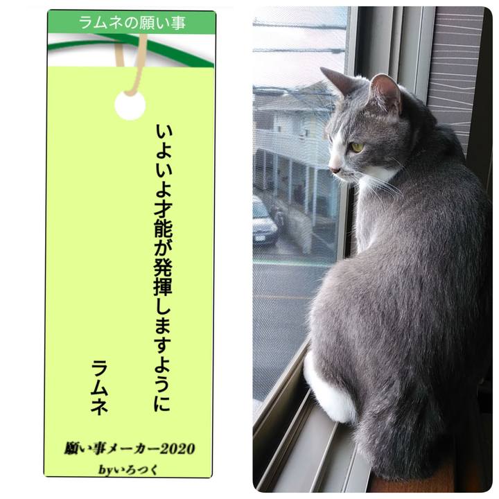 Fec8dabd 135e 4ccc 879d d04cfc78f8a9 1594100333756