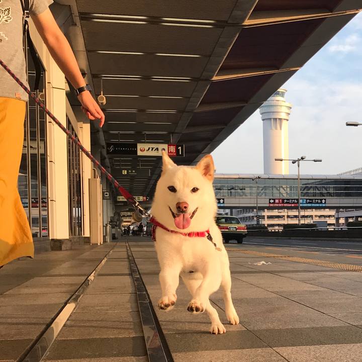 Fec8df65 10dc 49c7 a5b3 db7fb7512eb7 1537133880416