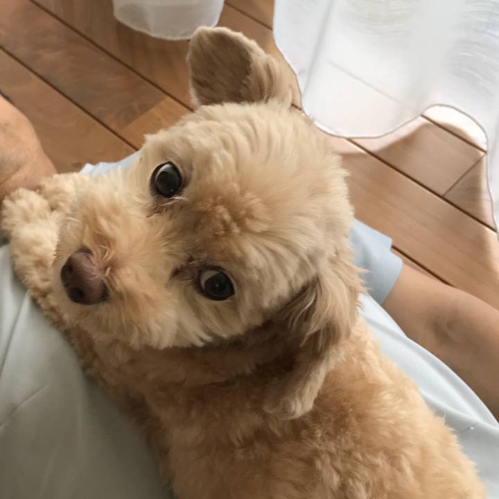 Fec8ee27 2dd6 4860 90e7 e8060b2d75ec 1529206875948