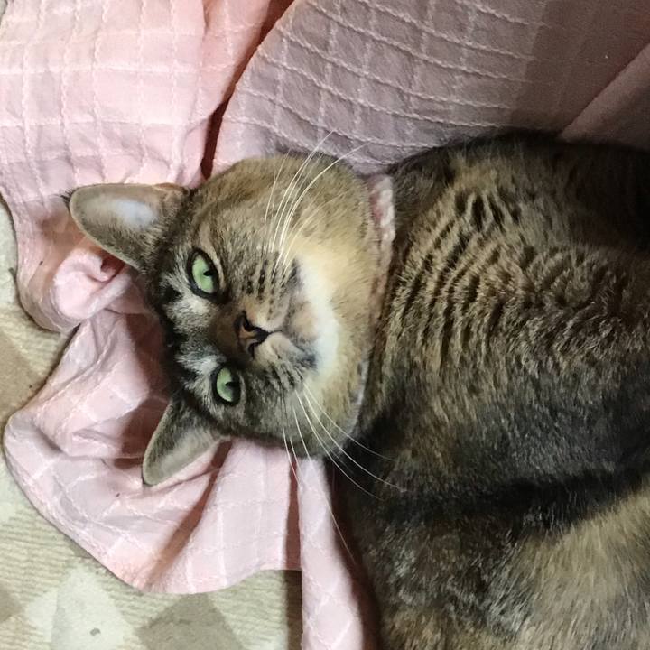 Fec8f4ce 7de9 41bd a511 dc573e4cc783 1669542226045