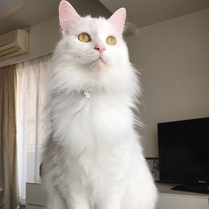 Fec8f949 cd48 4b29 84f8 c243ef369b2e 1555232965697