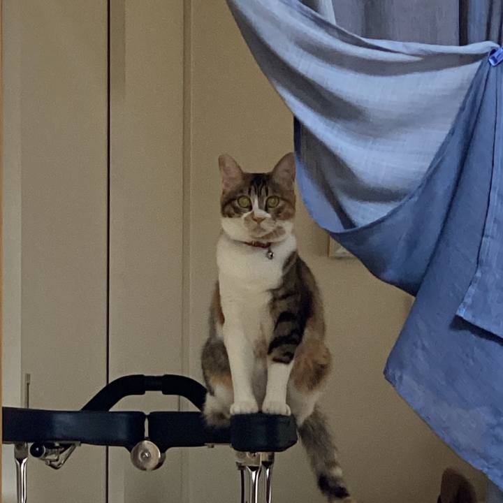 Fec8f96c aa48 486b 87d5 65ce69e9d8f3 1686095189194