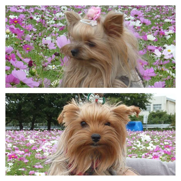 Fec8fa55 94ae 4163 a214 8c2a6ae0b1fe 1635902904827