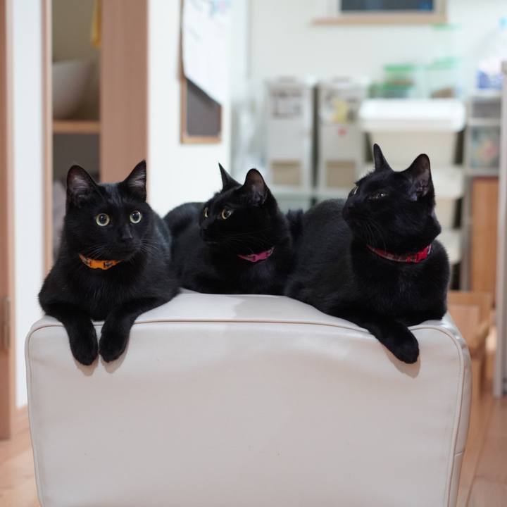 Fec93527 b439 40d2 94b4 c9ebaf70e098 1620271972017