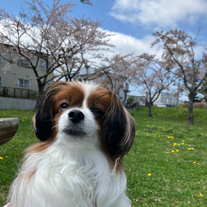 Fec95ea1 30d6 4abf b287 c3b955e768b3 1746489565278