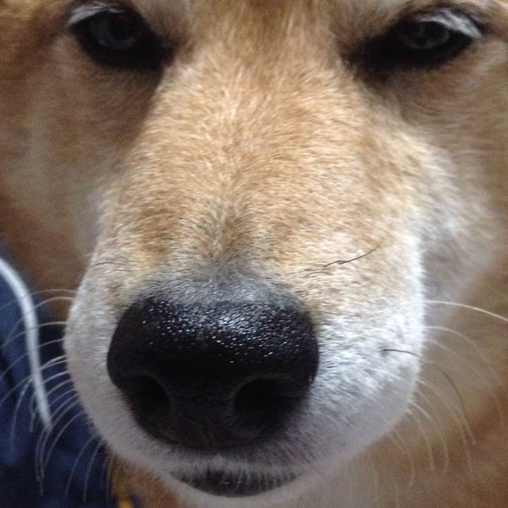 Fec97fae 842e 418c bae8 e8febad41518 1523617815517