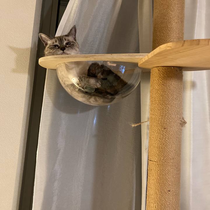 Feca173d b52a 4571 a8fc bd45b9fdfb6b 1692187056183