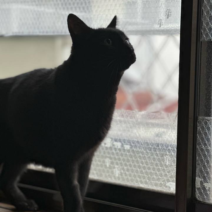 Feca2979 b60c 486d a2d7 129b8db33ebf 1705714142458