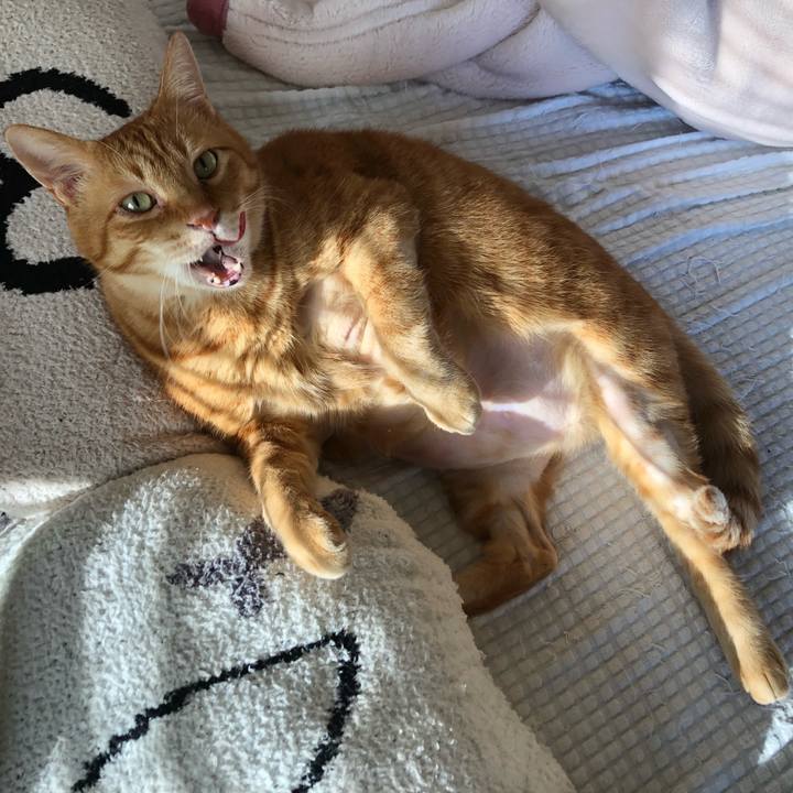 Feca30e2 e50b 43b0 a978 6734649fd248 1652047768393