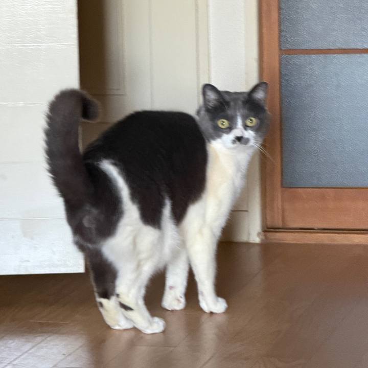 Feca3d42 c4fb 4aa3 941c 555be8dc1a24 1774055676039