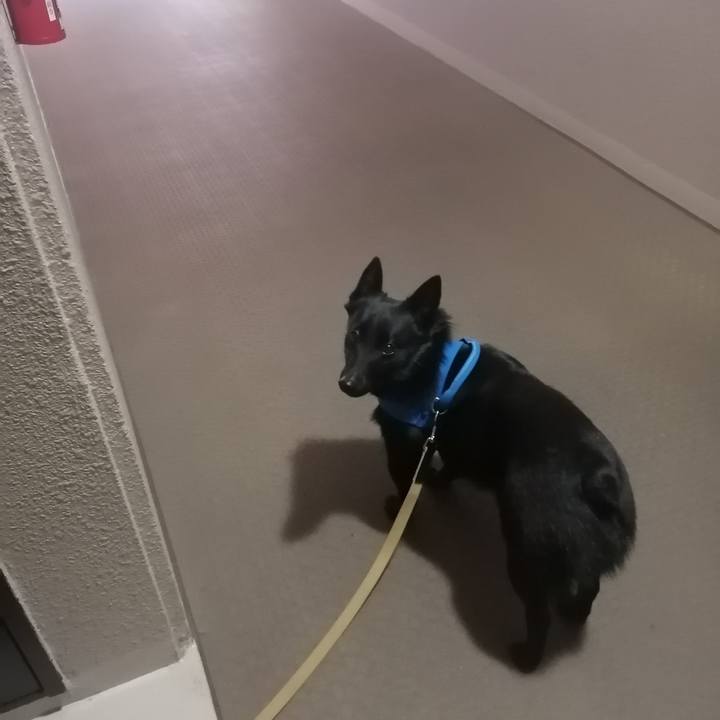 Feca4265 9943 4637 a8d0 a02a543d9162 1615326450953