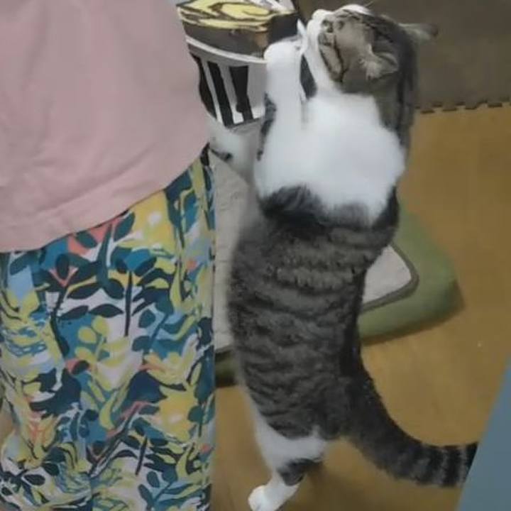 Feca5a85 2527 41fe b1b0 f7b9db5e4839 1635635413877