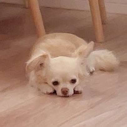 Feca75ad 6e58 4caf b214 2b27f4929028 1719923412008