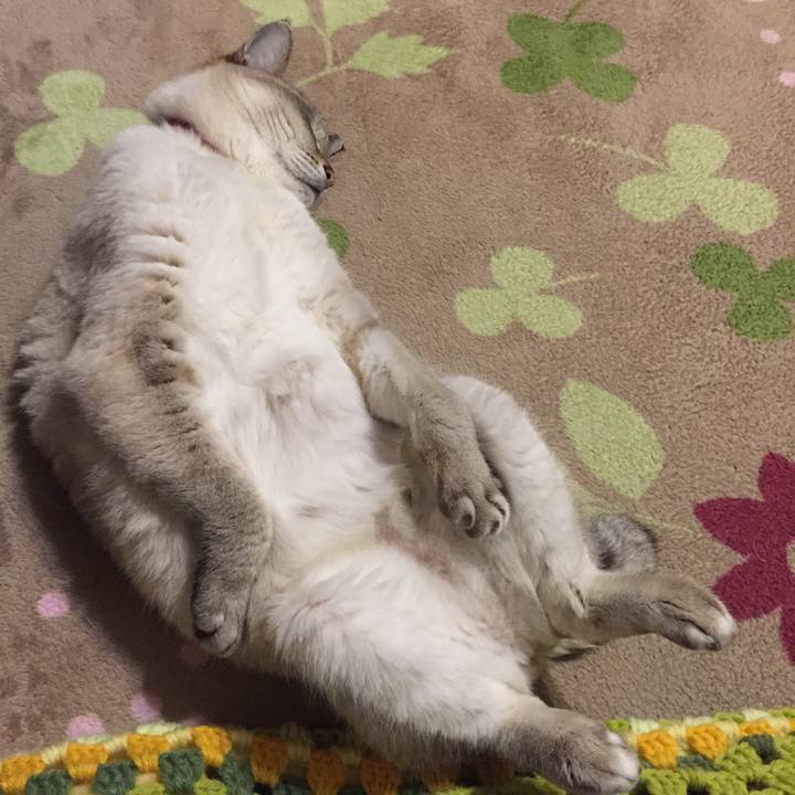 Feca9b03 8902 467d 91b6 c9c7f69b2ff0 1551621141248