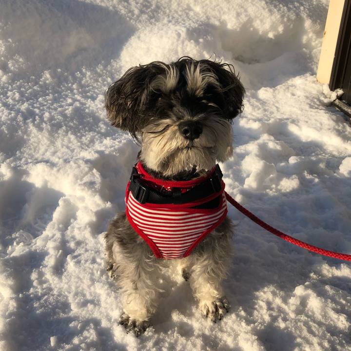 Feca9cbc e086 4140 9b88 7e5029ffdd31 1515898522018